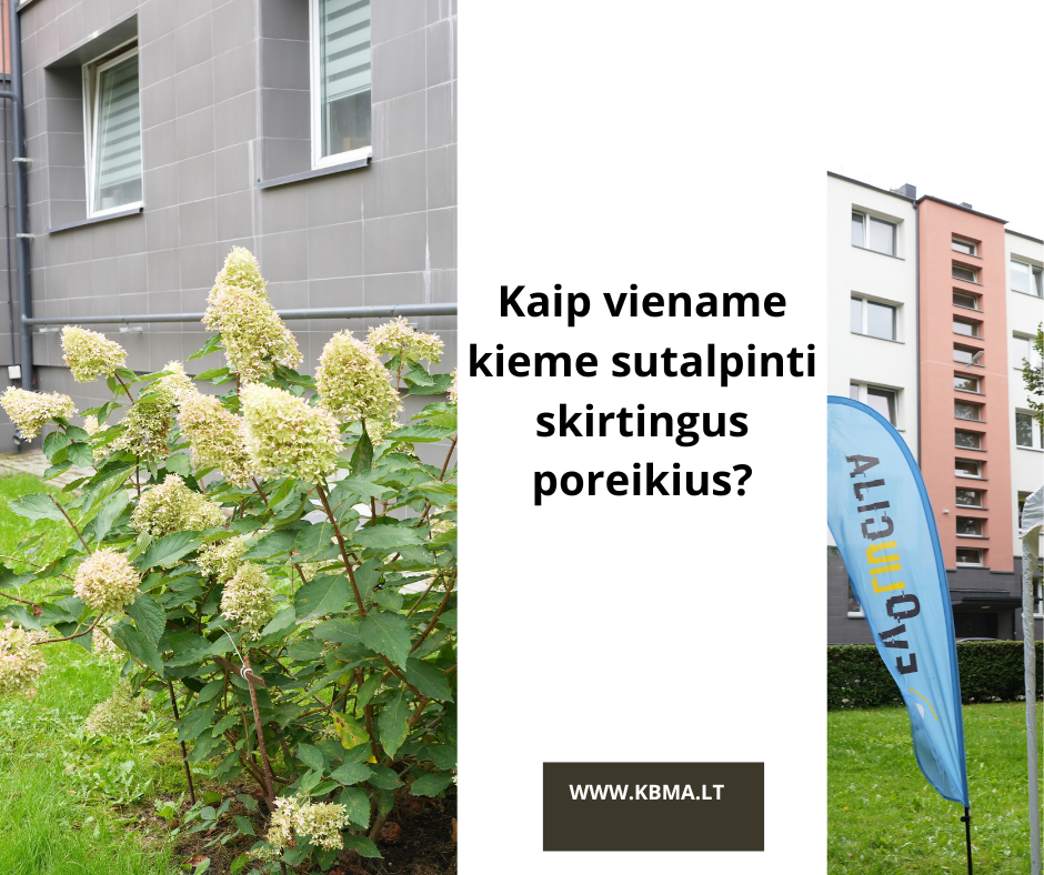Automatiškai išsaugotas juodraštis